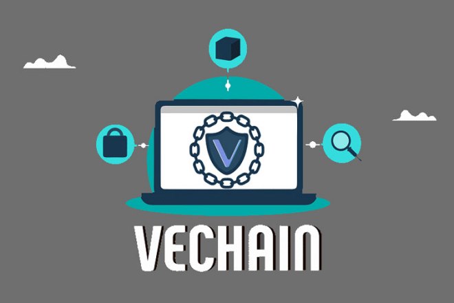 hinh anh vechain
