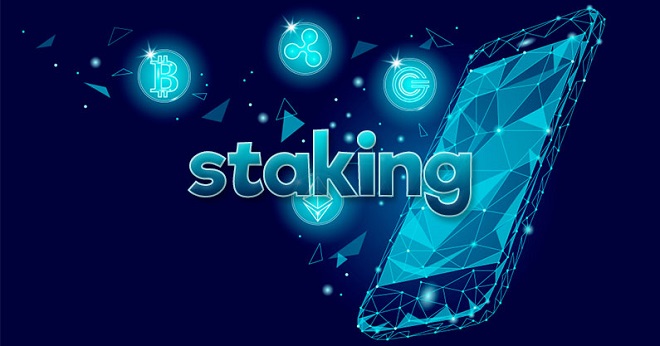 Staking coin là gì? Thông tin về staking coin cho người mới bắt đầu